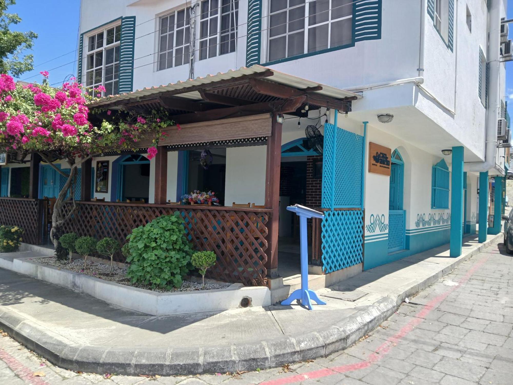 Casa Amelia Flores酒店
